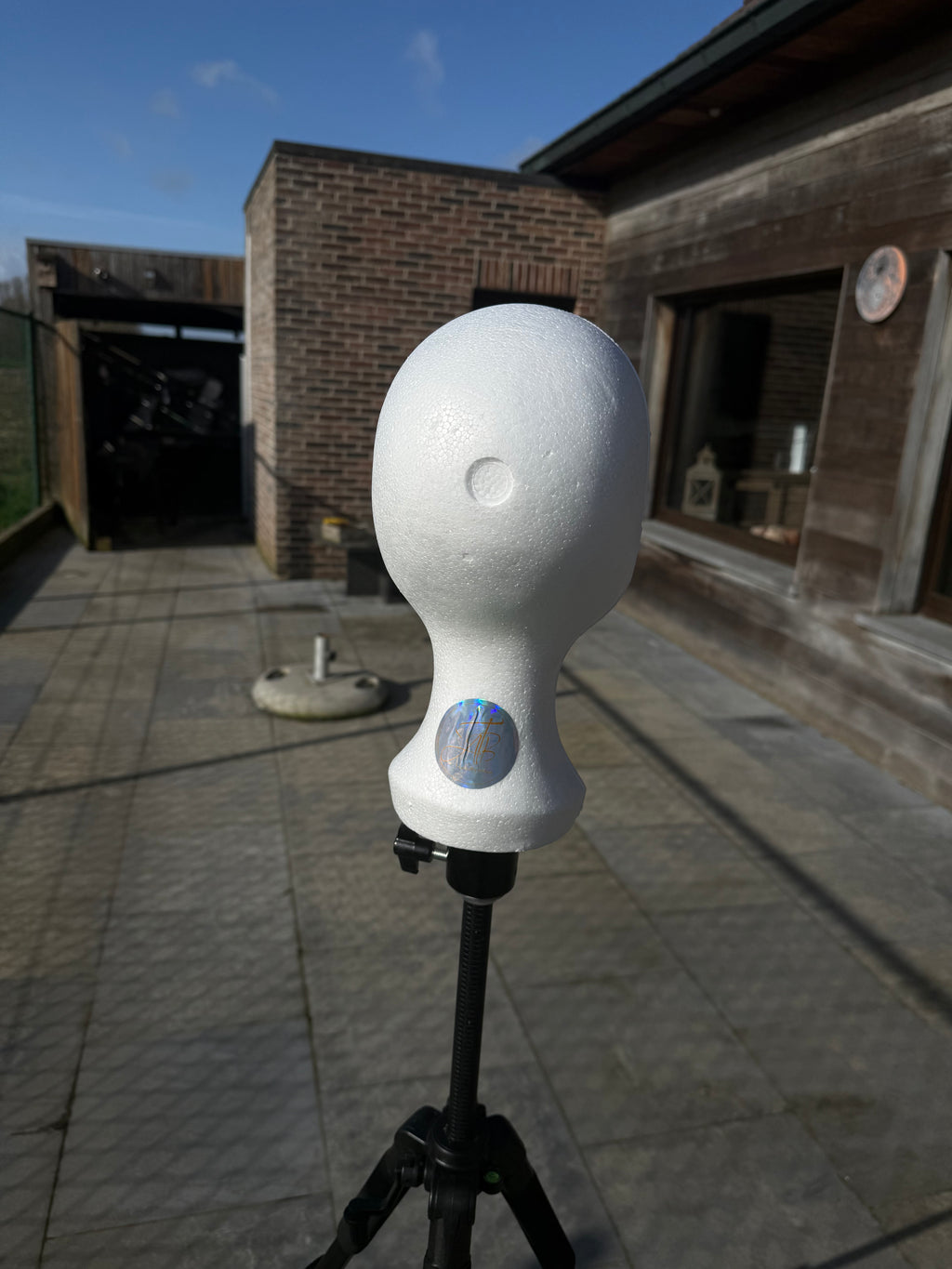 Wig Travel Head